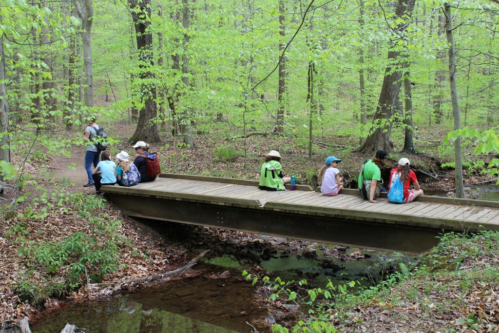 VOF hosts Girl Scouts at Bull Run Mountains Preserve