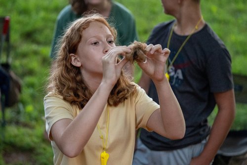 Blue Ridge Discovery Center, Smyth, Grayson and Washington Counties