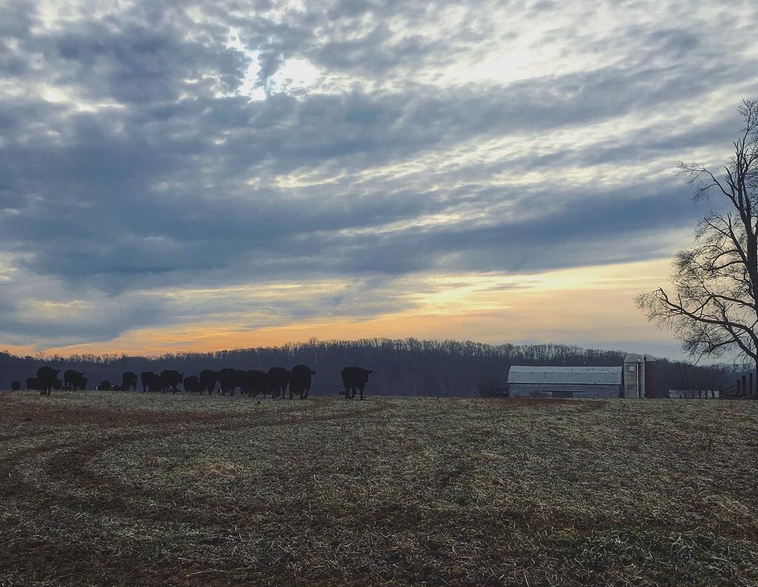 Anathallo Acres, Augusta County