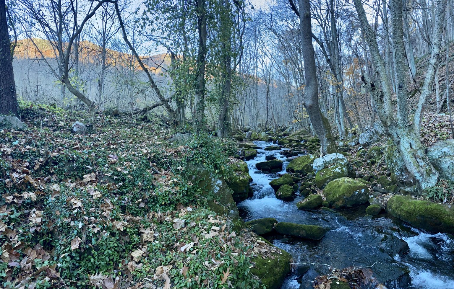 Mill Creek Nature Park Revitalization, Giles County