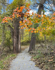 Weller Woods Learning Trail, City of Staunton