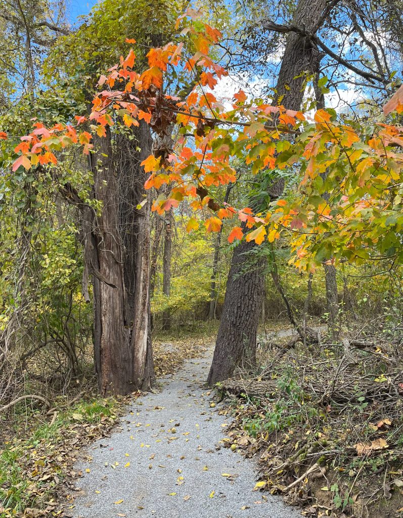 Weller Woods Learning Trail, City of Staunton