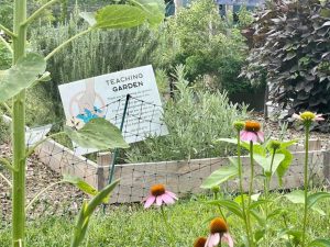 Downtown Greens Expansion Project, City of Fredericksburg