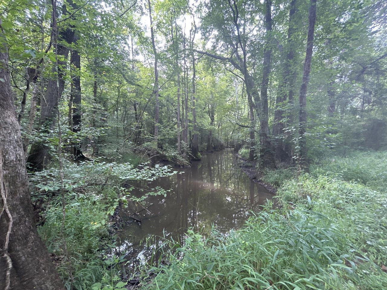 VOF, Enviva partner to conserve 2,808 acres in Greensville County
