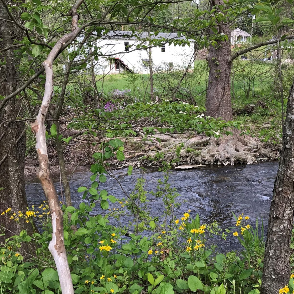 A creek runs between the T.G. Howard Community Center and the former Calfee Training School. Both buildings are undergoing renovations in order to serve the community of Pulaski better than ever with help from VOF's Preservation Trust Fund.