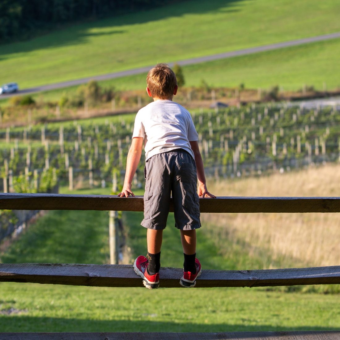 brp with kid and vines Protected by a VOF easement since 2011, 12 Ridges Vineyard welcomes guests to come enjoy its acclaimed wines and spectacular views.