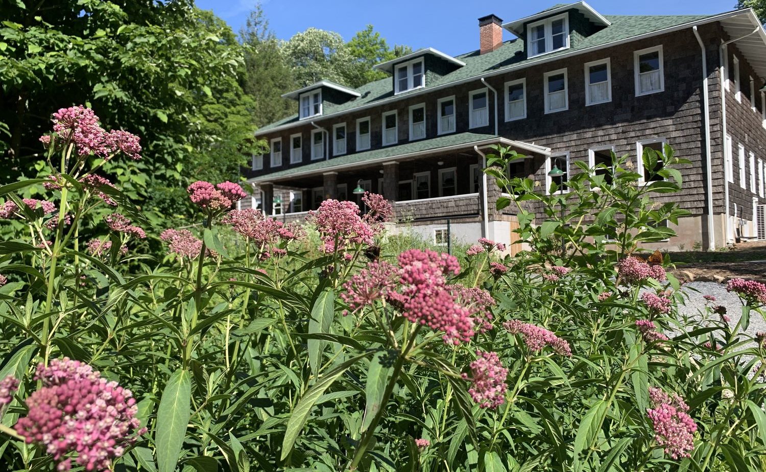The Blue Ridge Discovery Center hosts immersive outdoor experiences out of its headquarters in the Historic Konnarock School building at the foot of Whitetop Mountain.